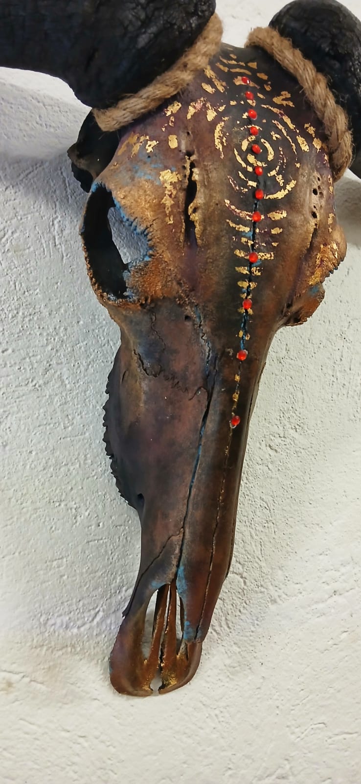 Blue Wildebeest skull "Drikus" - SOLD