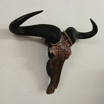 Blue Wildebeest skull "Drikus" - SOLD