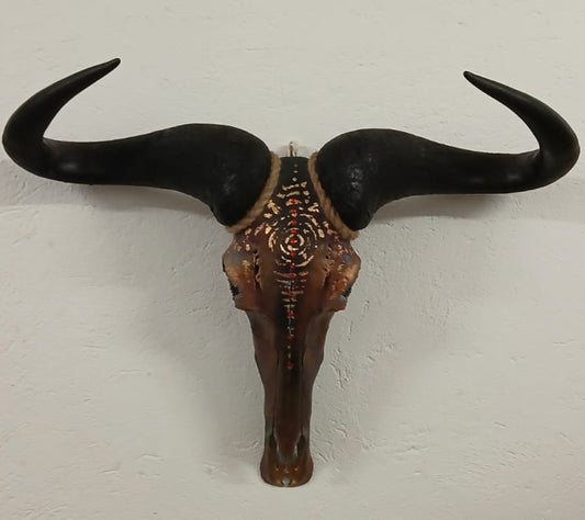 Blue Wildebeest skull "Drikus" - SOLD