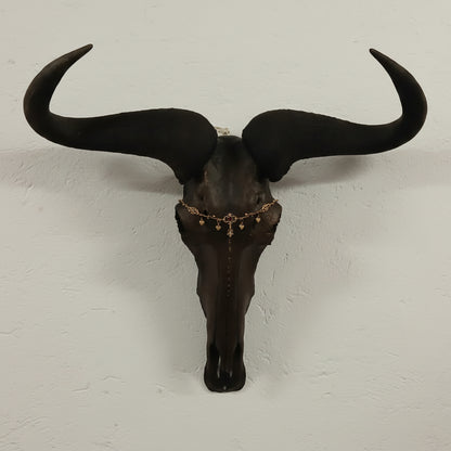 SKULL - Blue Wildebeest - "Jasmine"
