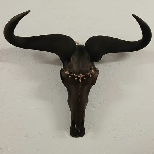 SKULL - Blue Wildebeest - "Jasmine"