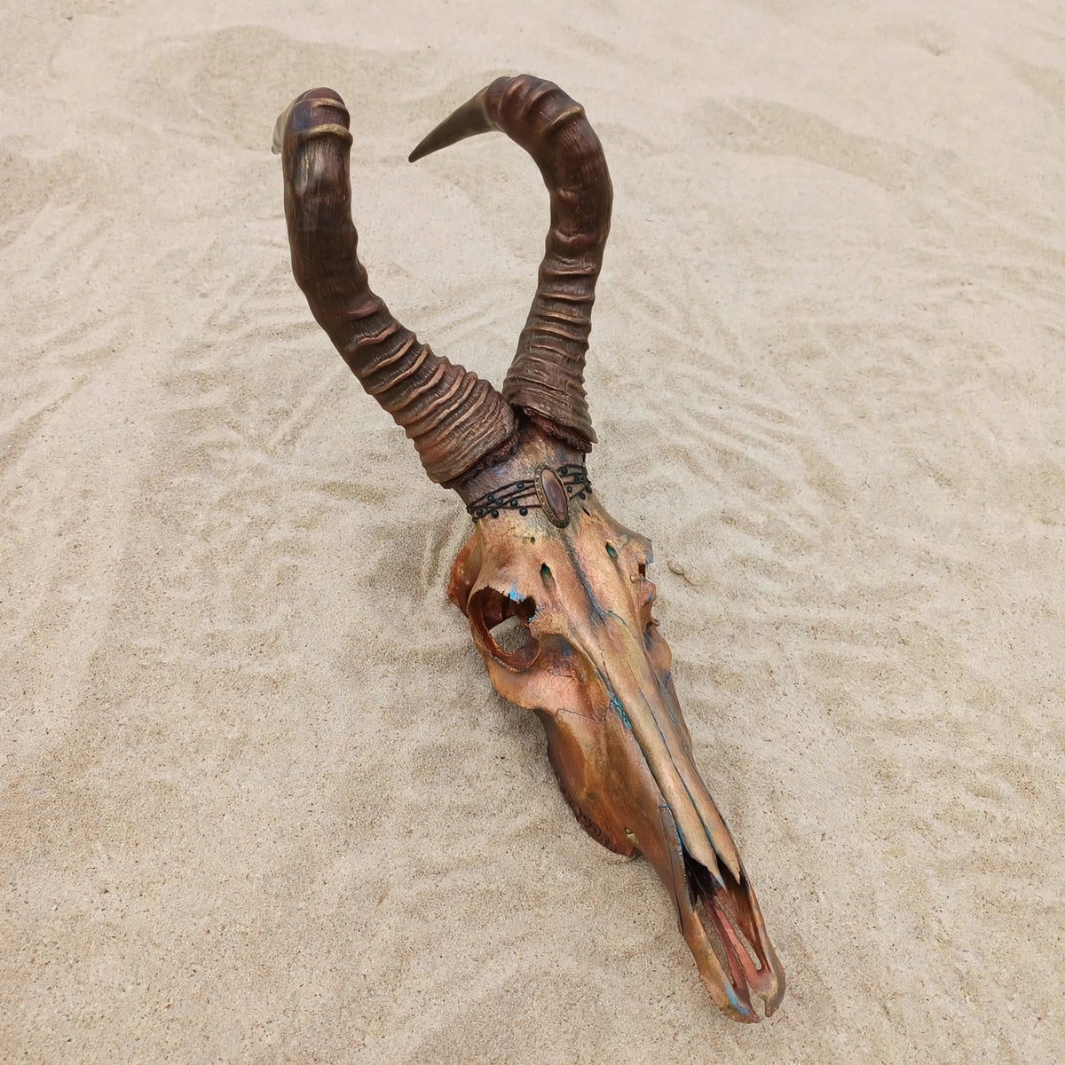 SKULL - Rooihartebees - "King Copperton"