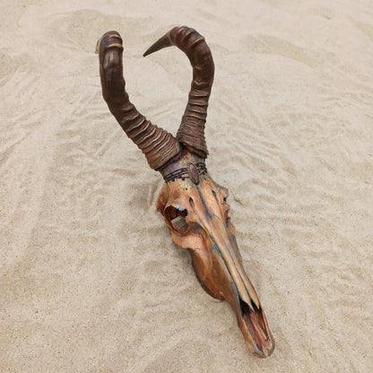SKULL - Rooihartebees - "King Copperton"