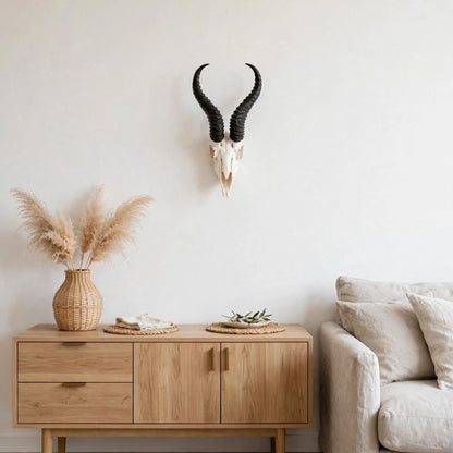 SKULL - Springbok - Natural white with jetblack horns