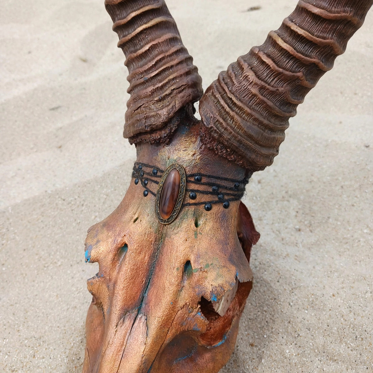 SKULL - Rooihartebees - "King Copperton"