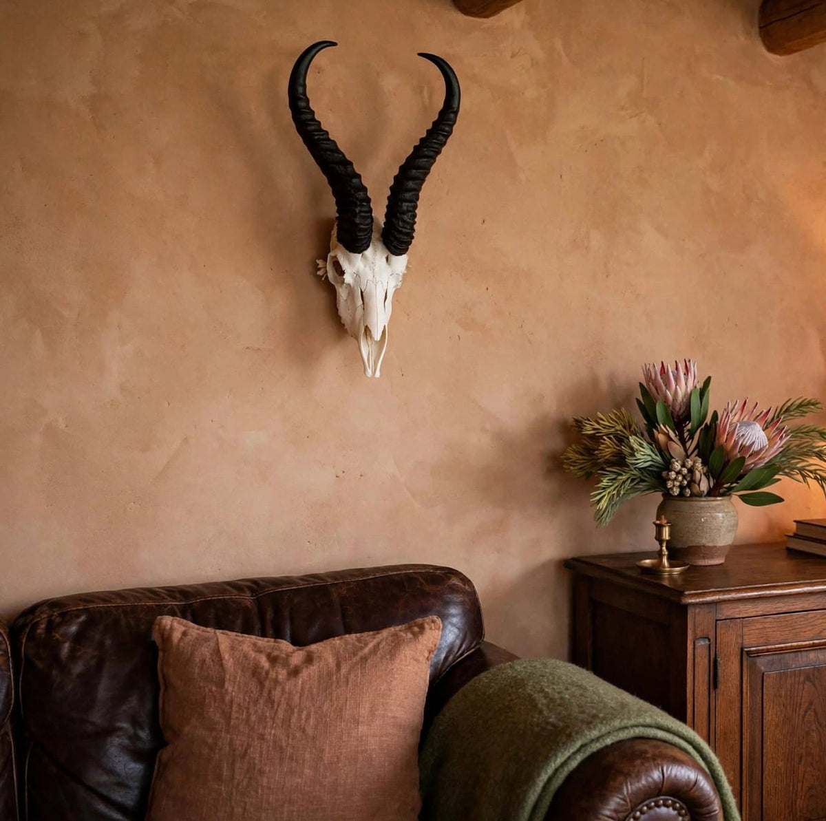 SKULL - Springbok - Natural white with jetblack horns