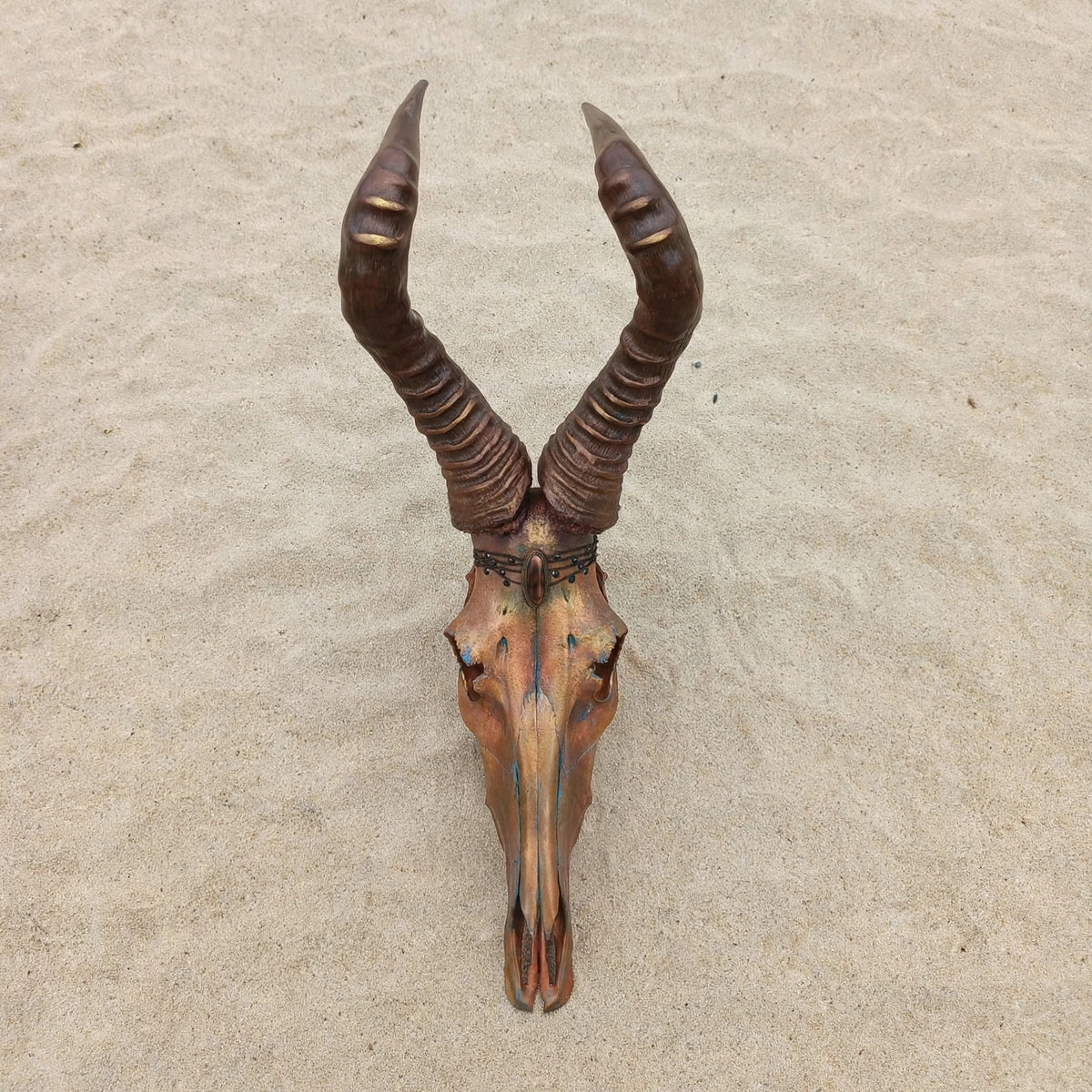 SKULL - Rooihartebees - "King Copperton"