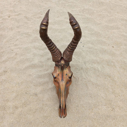 SKULL - Rooihartebees - "King Copperton"