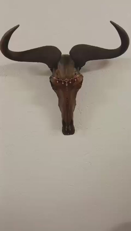 SKULL - Blue Wildebeest - "Jasmine"