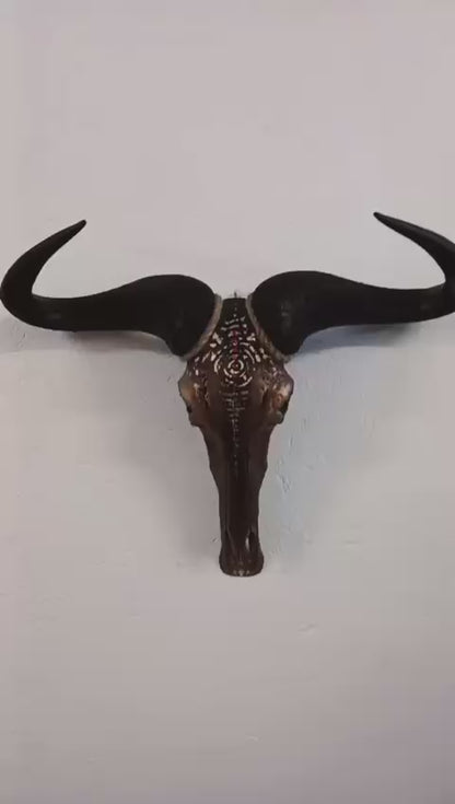 Blue Wildebeest skull "Drikus" - SOLD